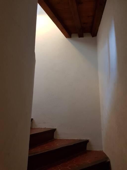 Appartement Pres Des Plages Du Mourillon Toulon Ngoại thất bức ảnh